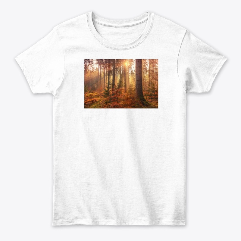 Value12 Sunshine in the forest