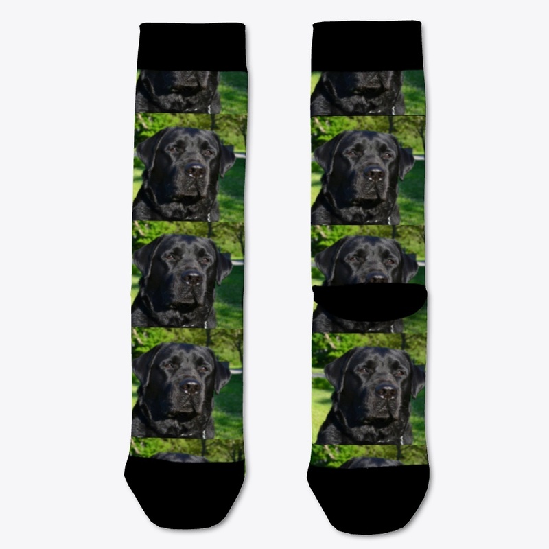 Labrador Socks  #1