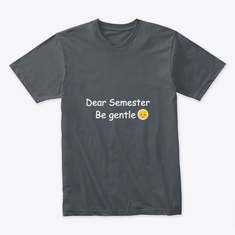 Dear Semester Be Gentle – College Life