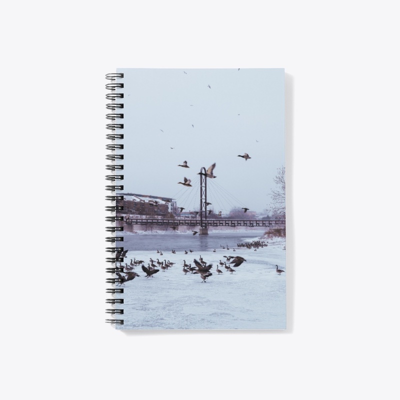 Mishawaka - Winter 1