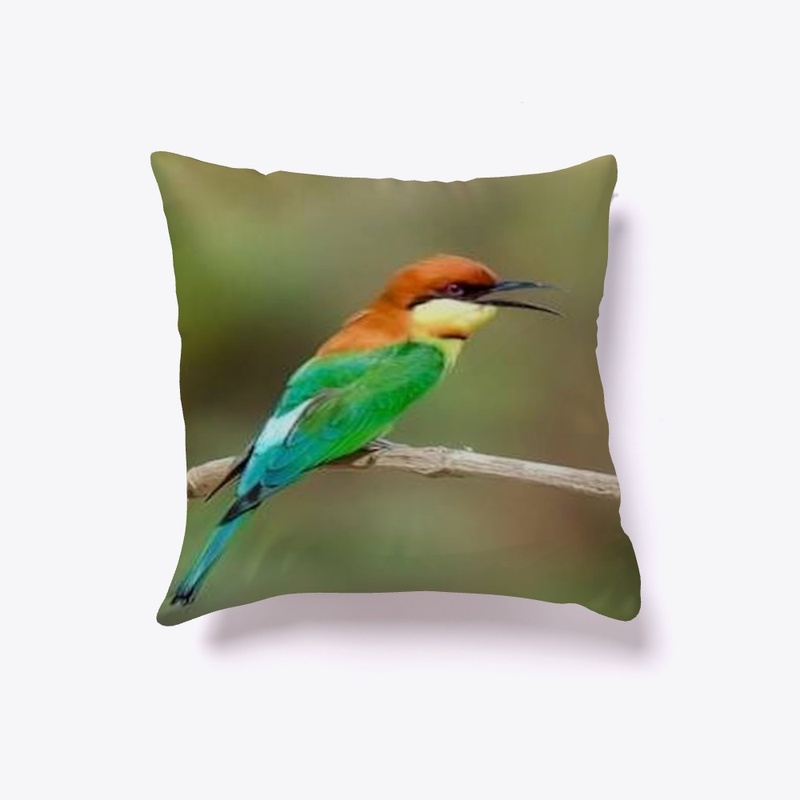 The Royal Angler Bird 