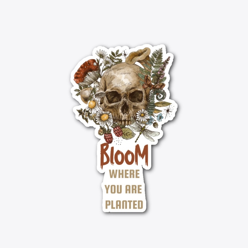 Bloom
