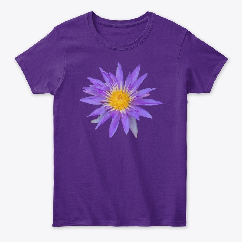 Water Lily Wonder