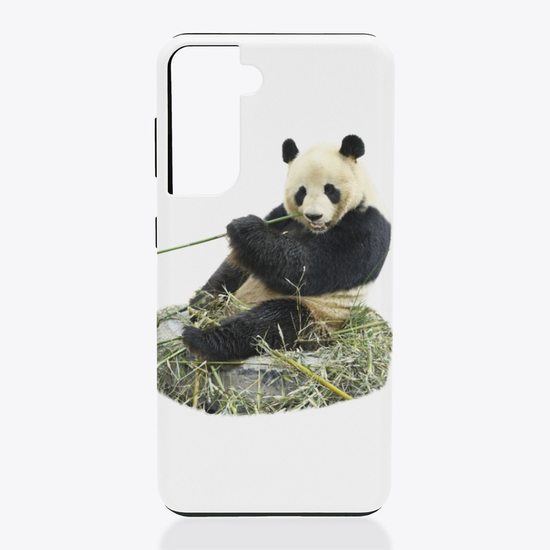 Panda love 