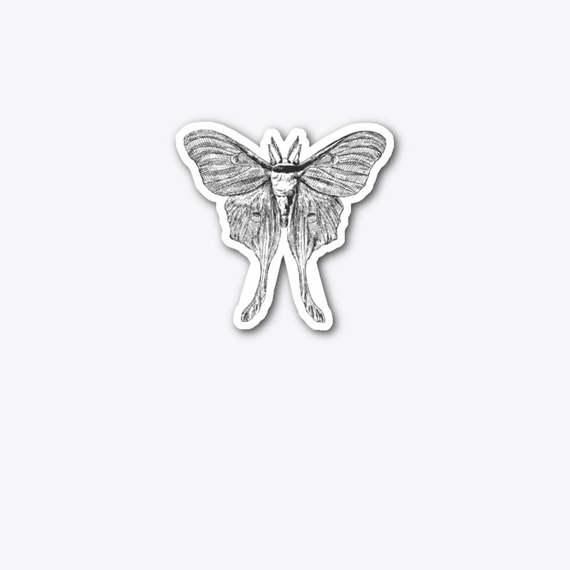 Moth