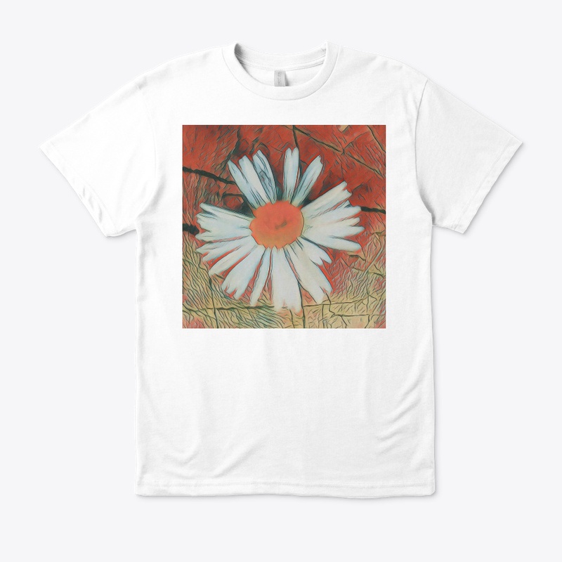 flowers  in  the  desert