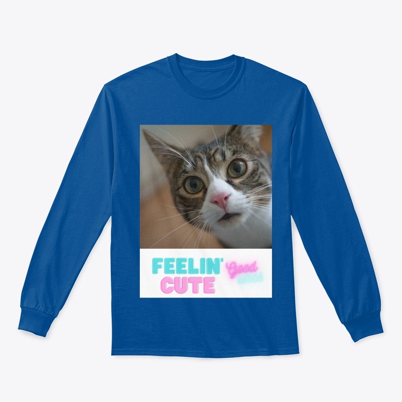 Sweet cat