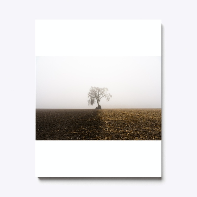 Midwest Field
