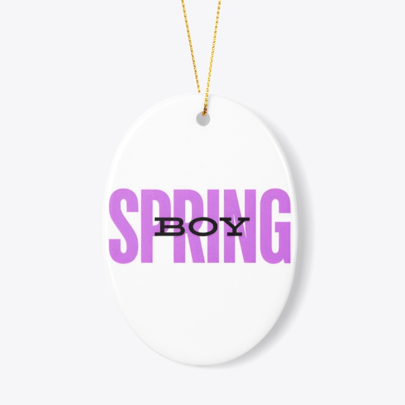 SpringBoy