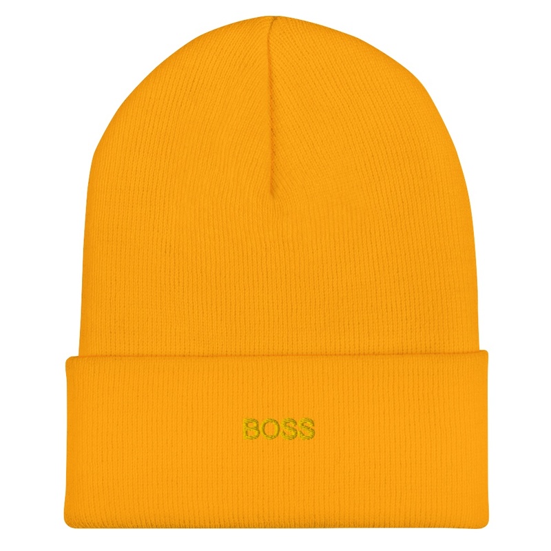 cap for boss