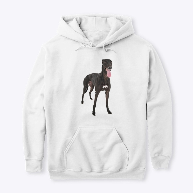 black greyhound dog