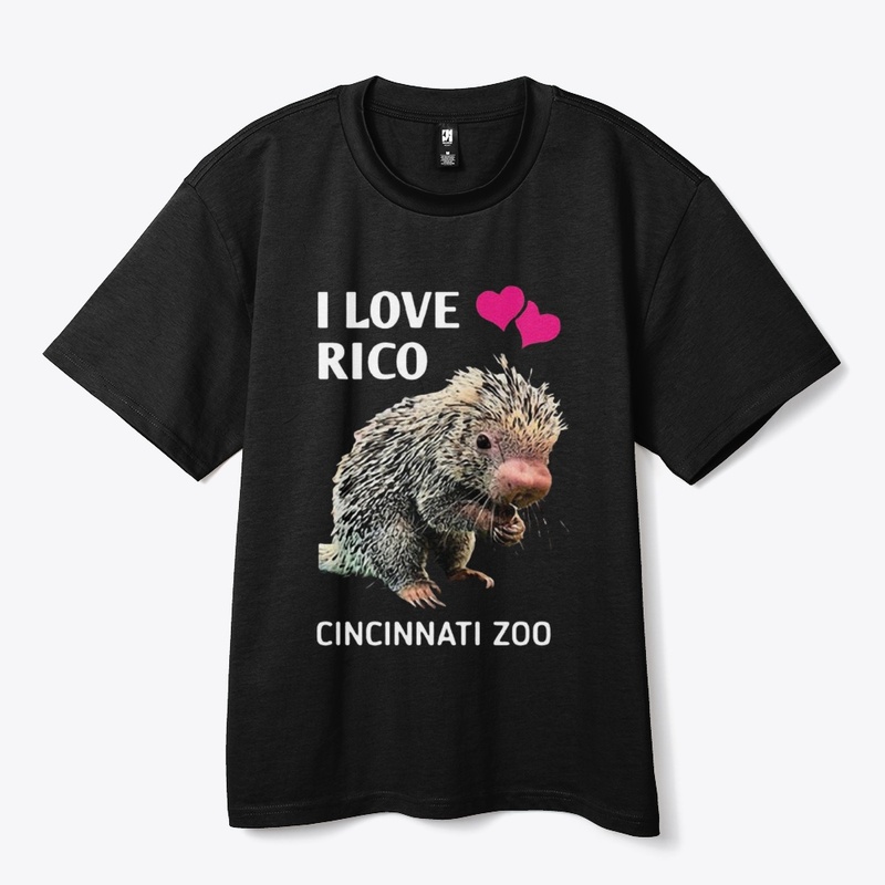 Limited Edition 0210255