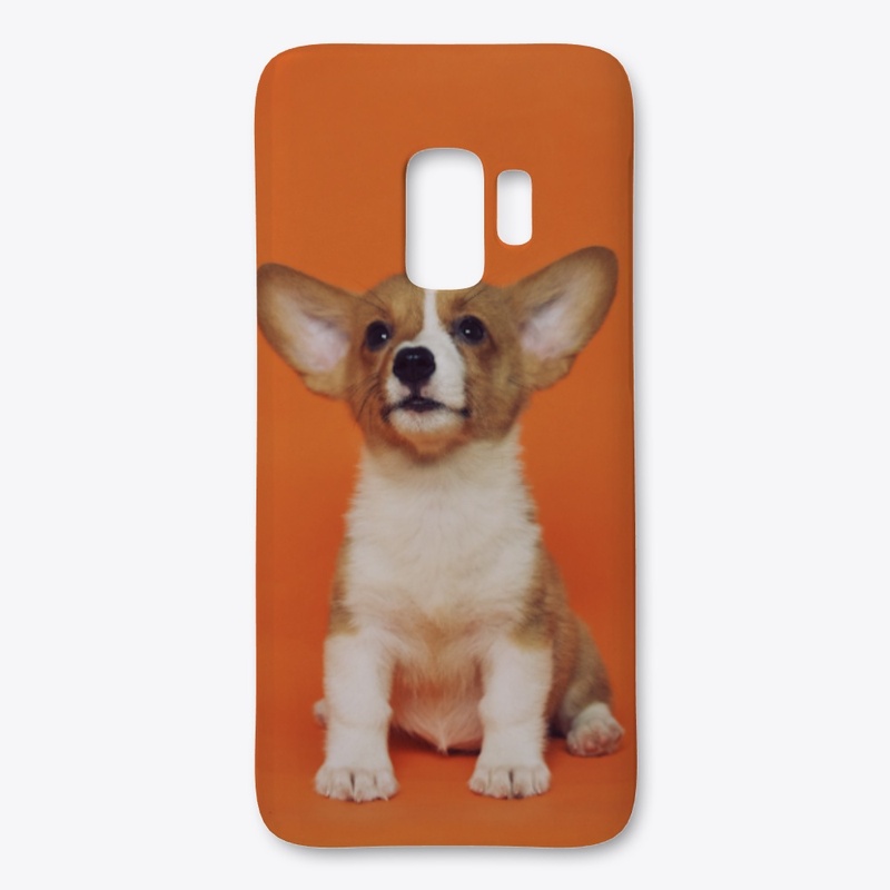 Chihuahua Case