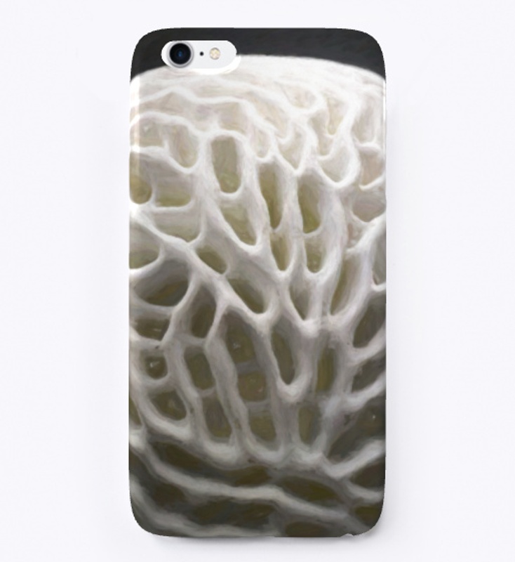 Corals