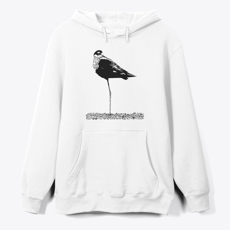 Black-necked Stilt
