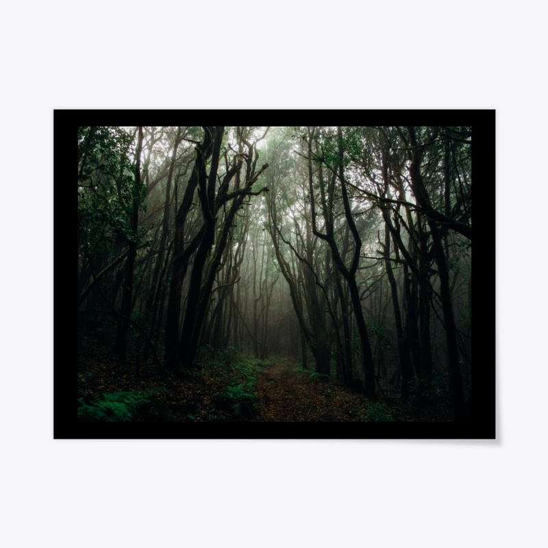 Rainforest Pathway