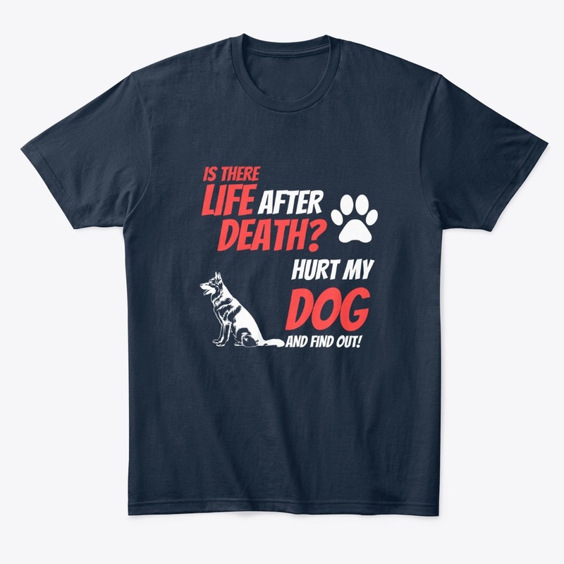 Is there Life After Death?