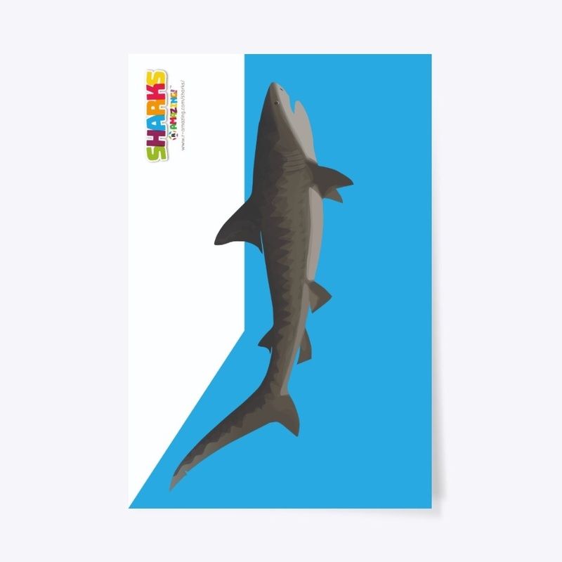 Friendly Shark Poster