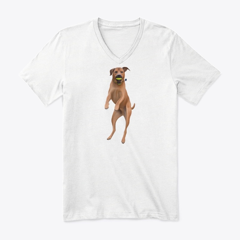 Jumping Dog with Ball