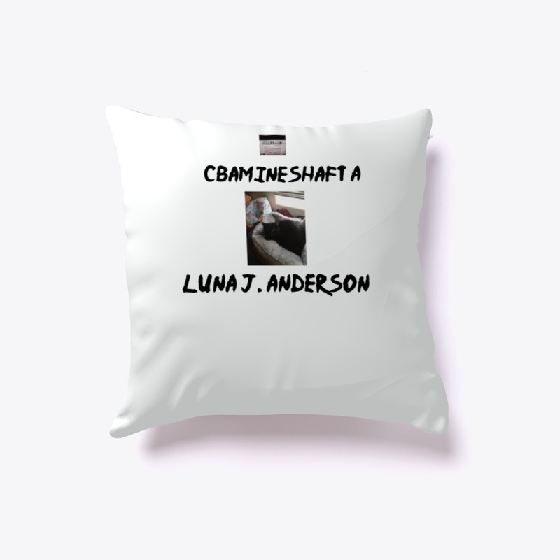 Cbamineshaft A Pillow and Blanket