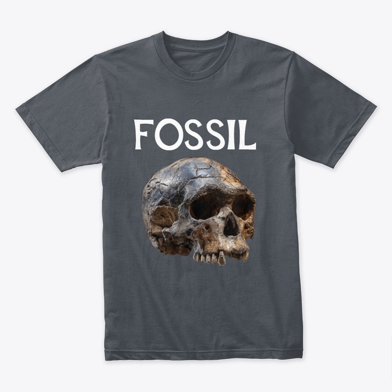 FOSSIL