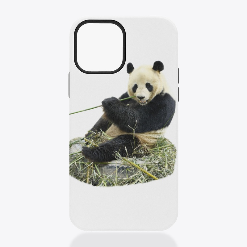 Panda love 