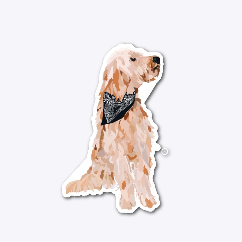 Golden doodle
