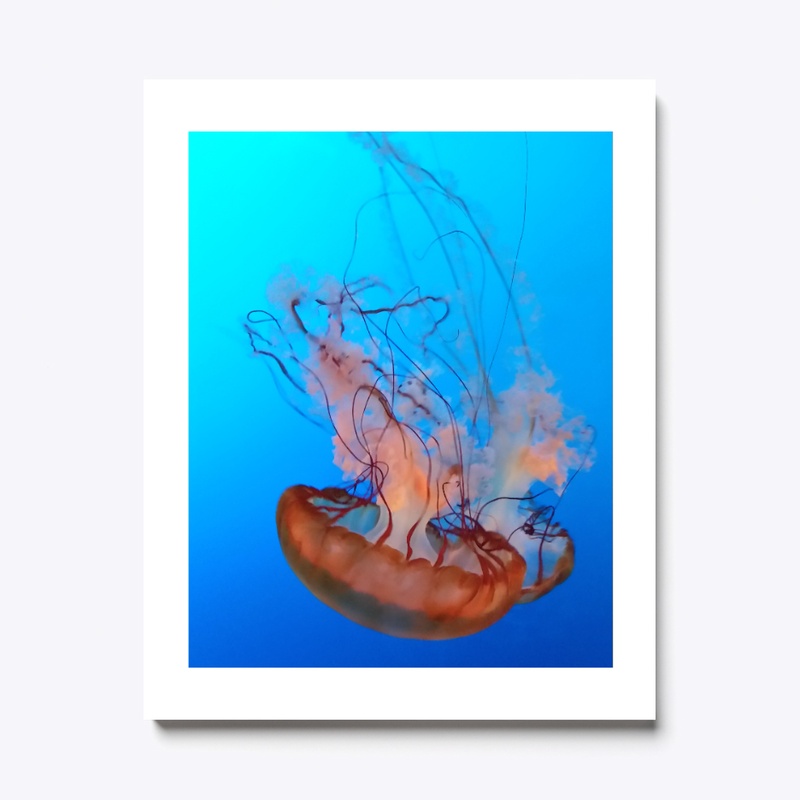 Under the sea