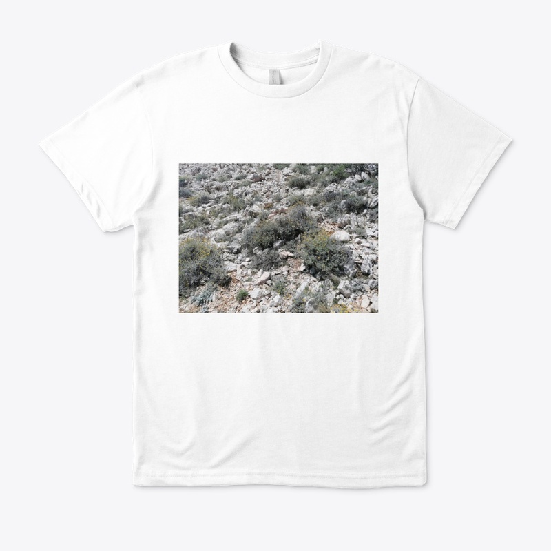 Immortelle