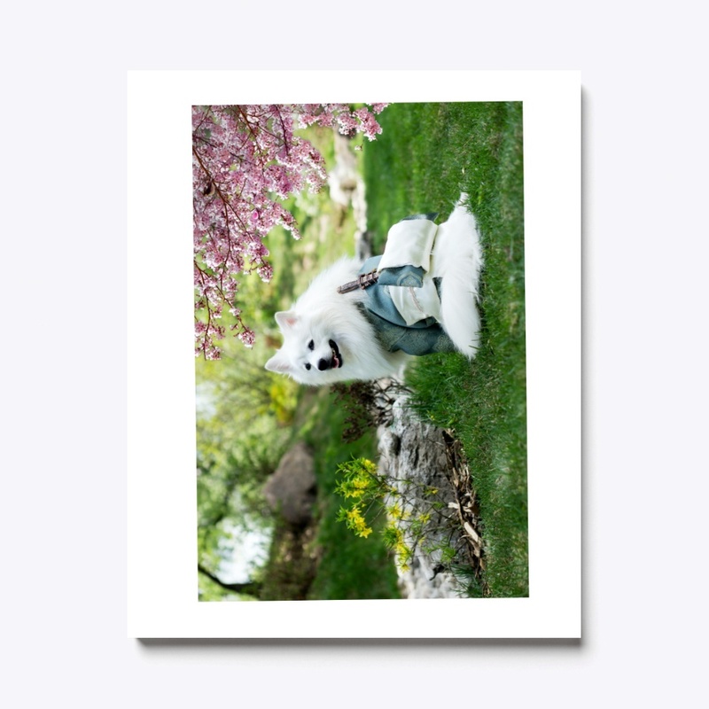 nature dog