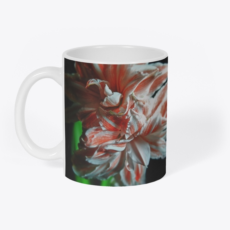 Amaryllis Portrait