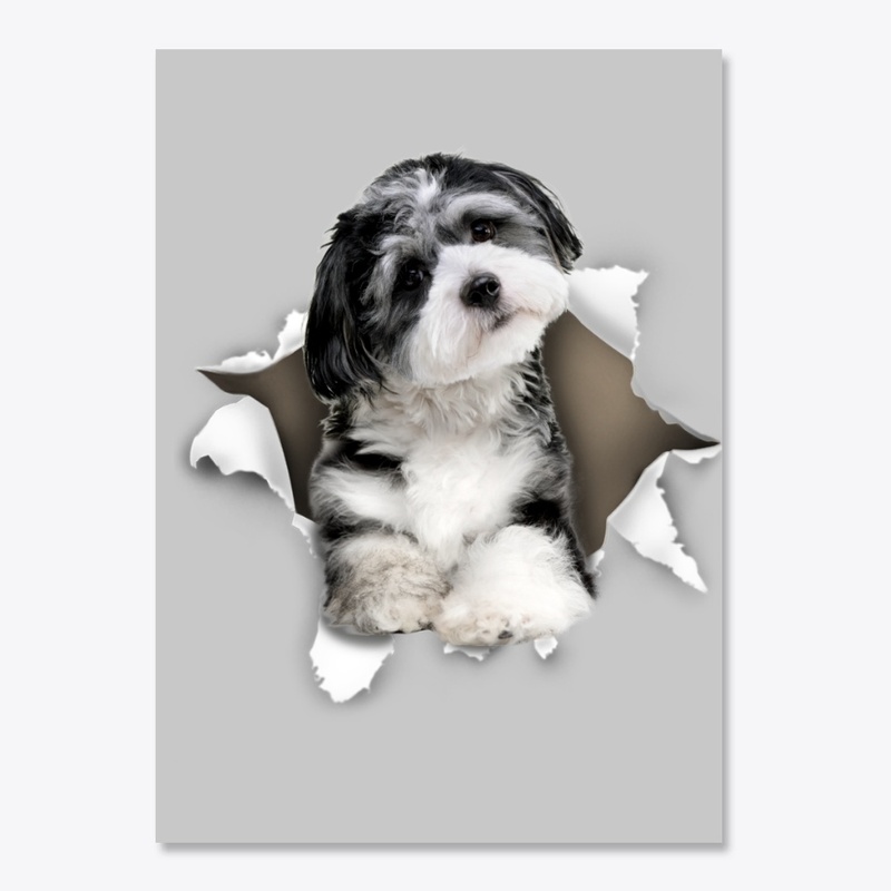 Havanese Torn Paper