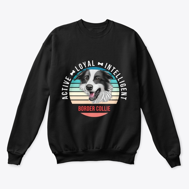 Border Collie - Active, Loyal