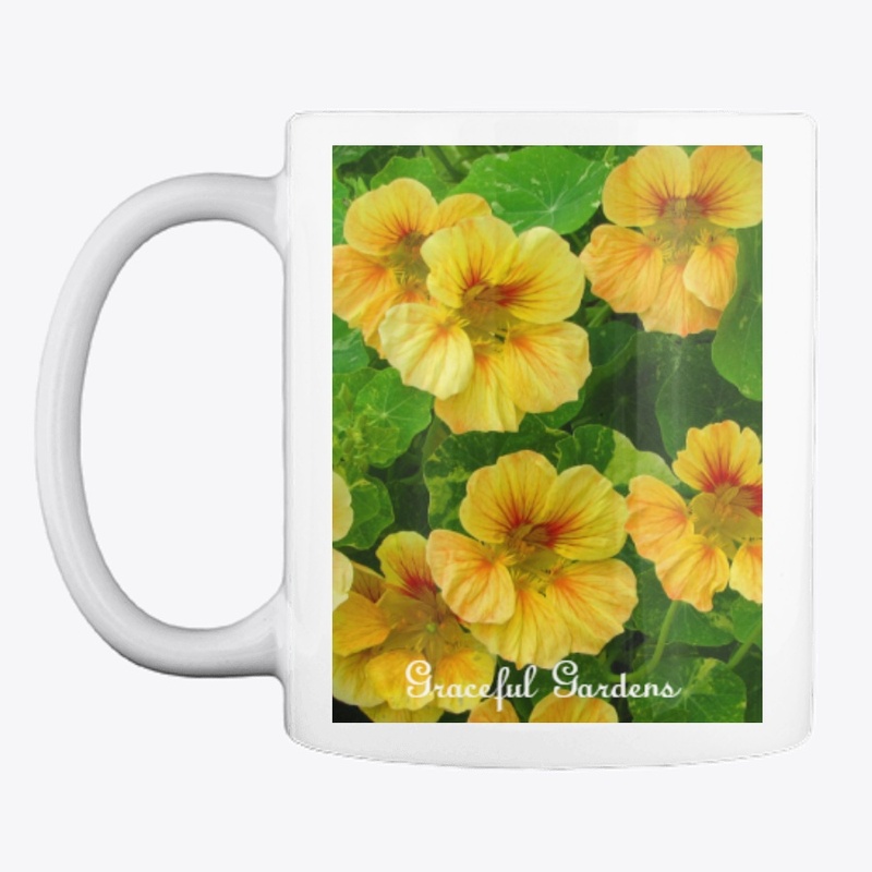 Tropical Nasturtium Flowers 