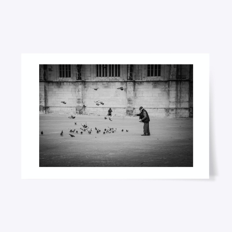 Feeding the pigeons
