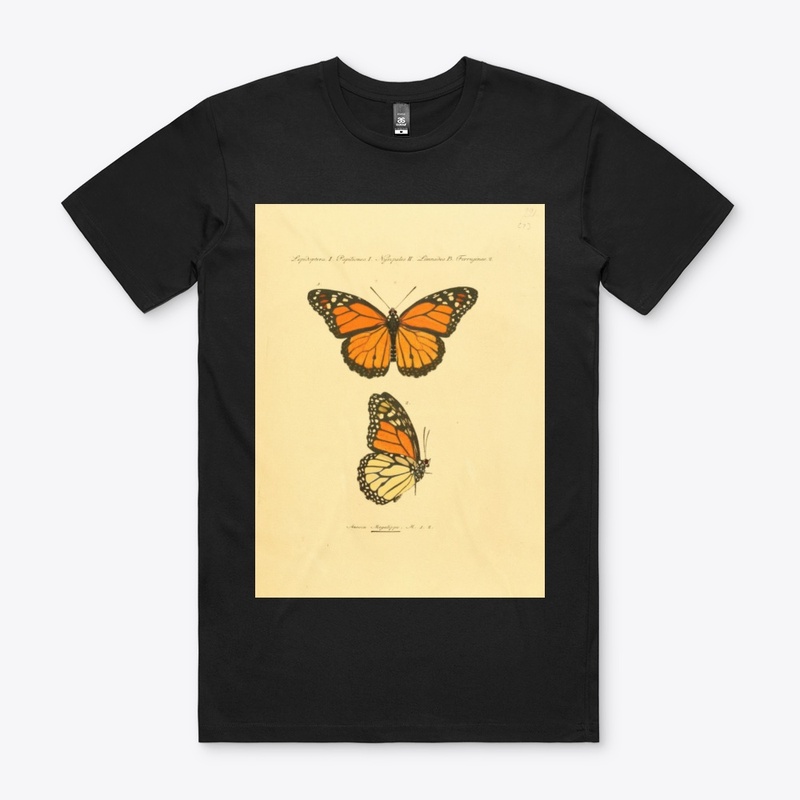 Monarch
