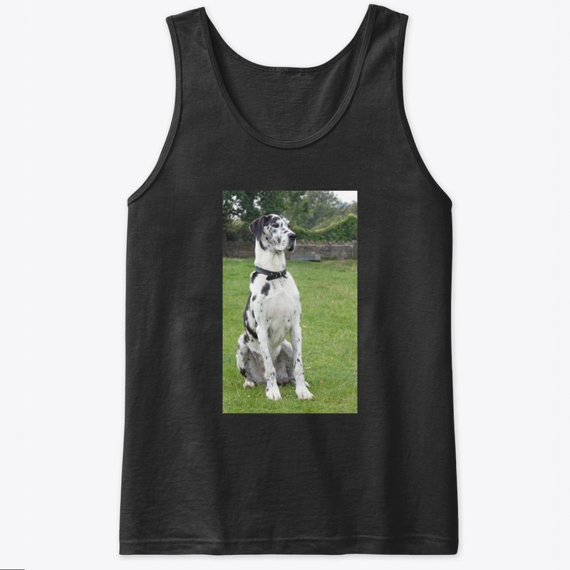 Great Dane T Shirt
