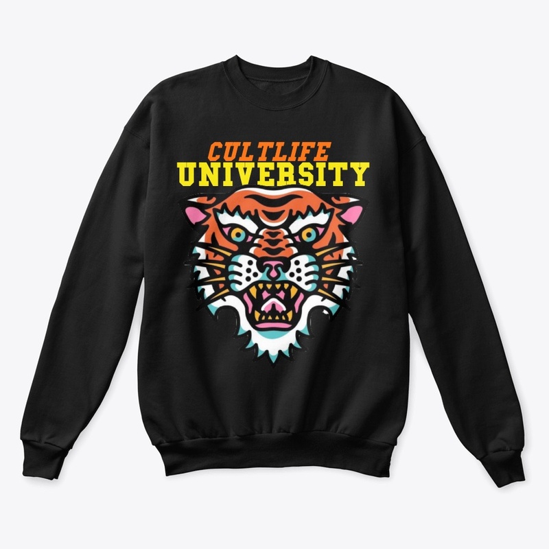 UNIVERSITY 