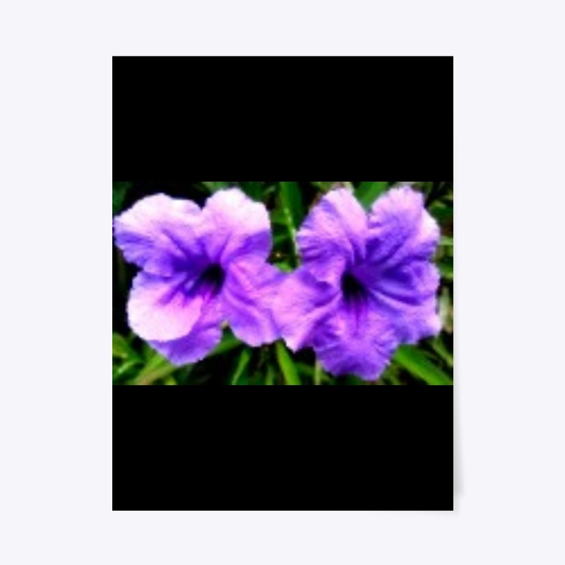 Purple Flower, and Red and Blue Pillow