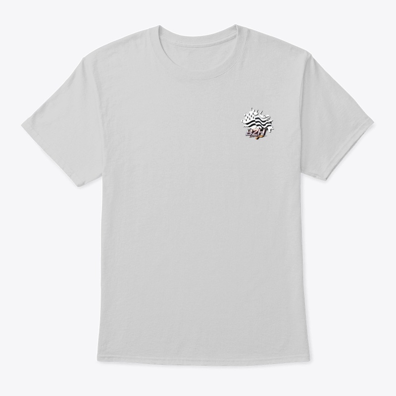 BZH Express