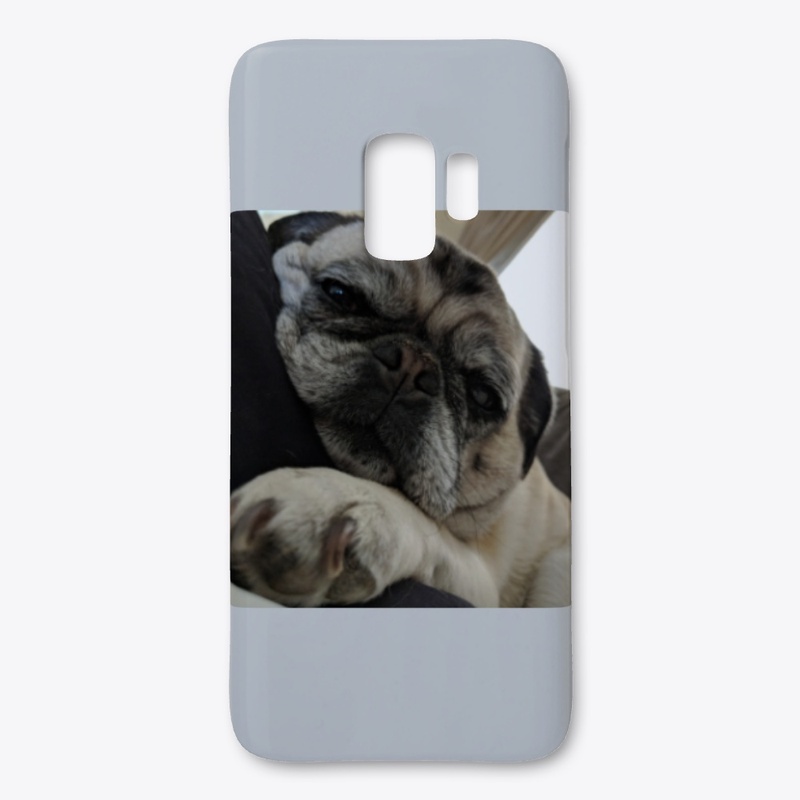 Pug sweatshirts, pug iPhone cases,pug pi