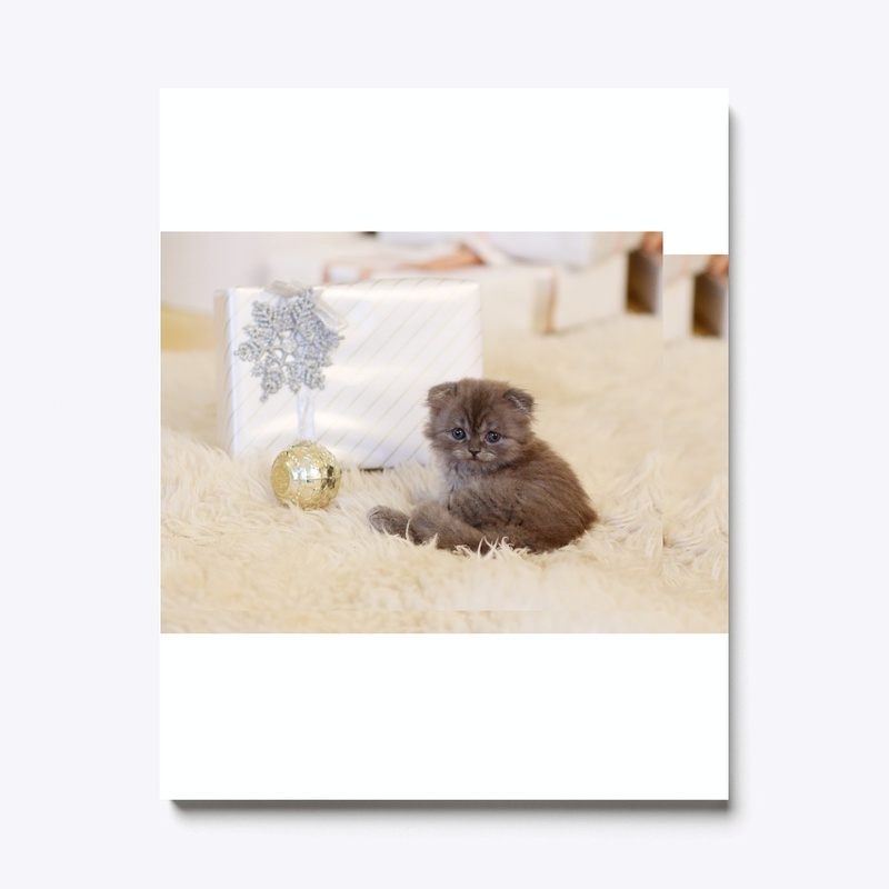 Sad Little Kitty