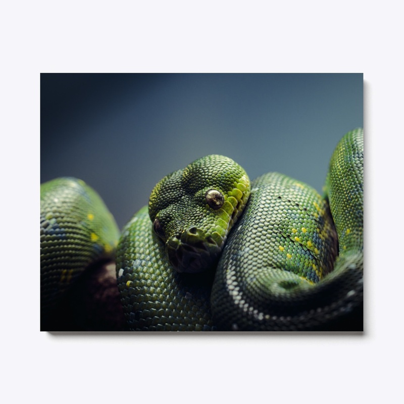 Reptillian 1