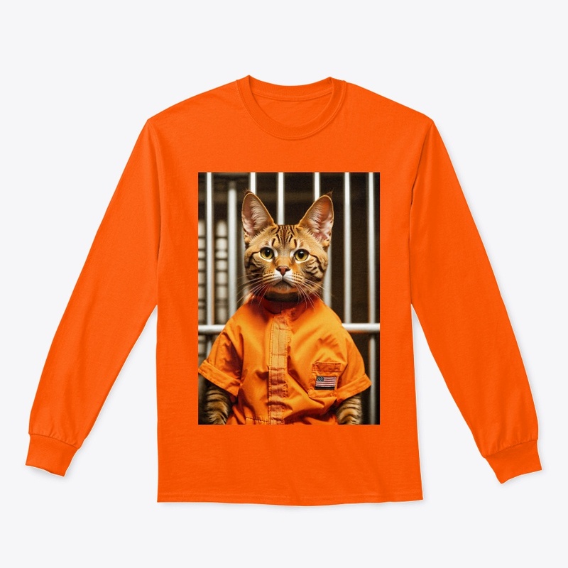funny cat 