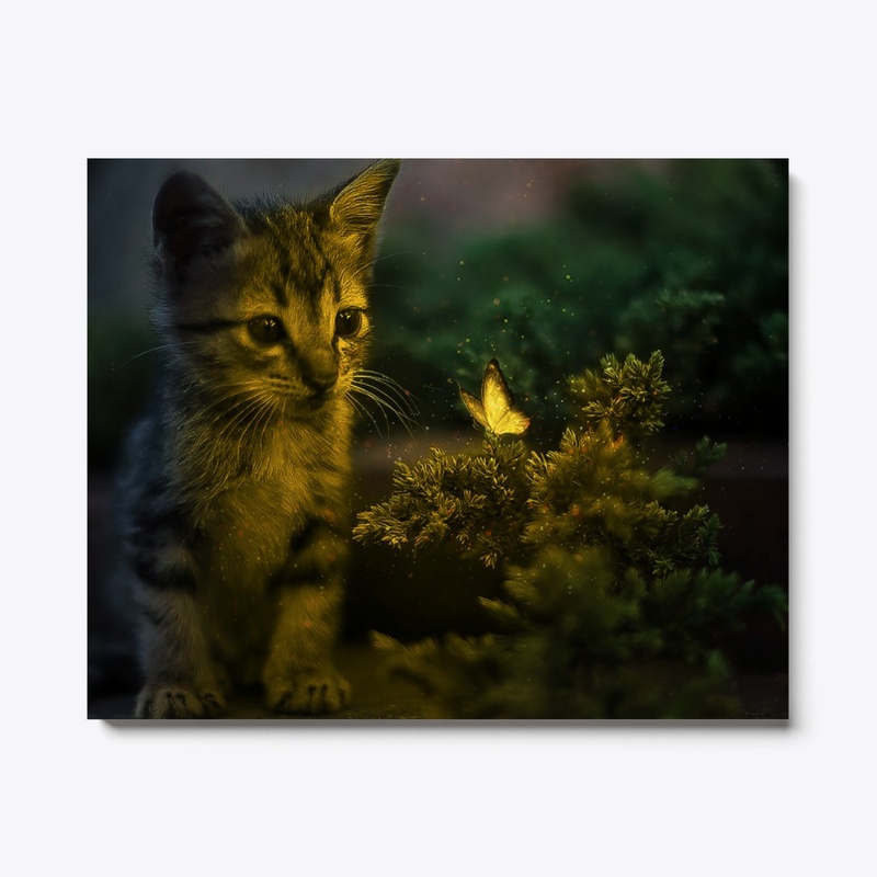Cute cat