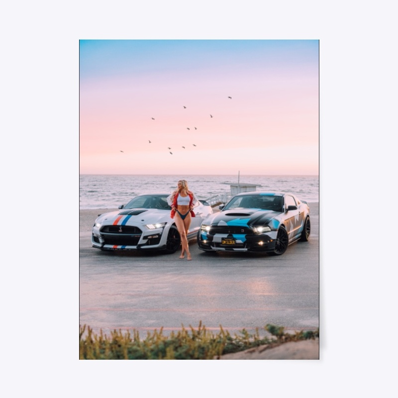 "Come This Far"  2020 GT500 Wall Art