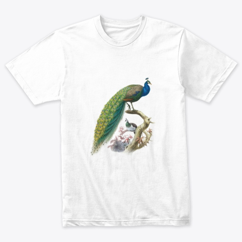 Peacock framing design