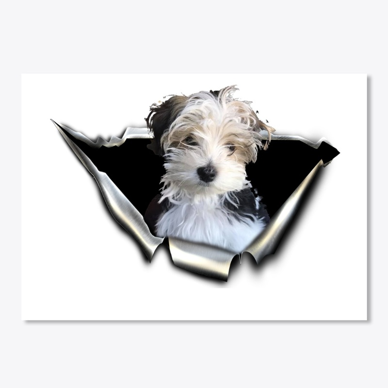 morkie 3D Car sticker