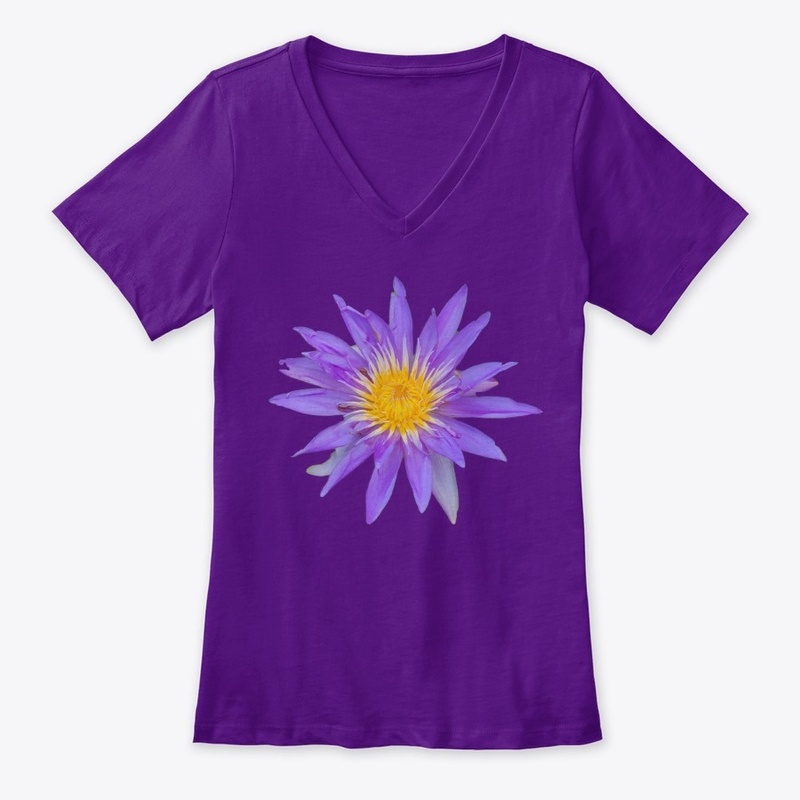 Water Lily Wonder