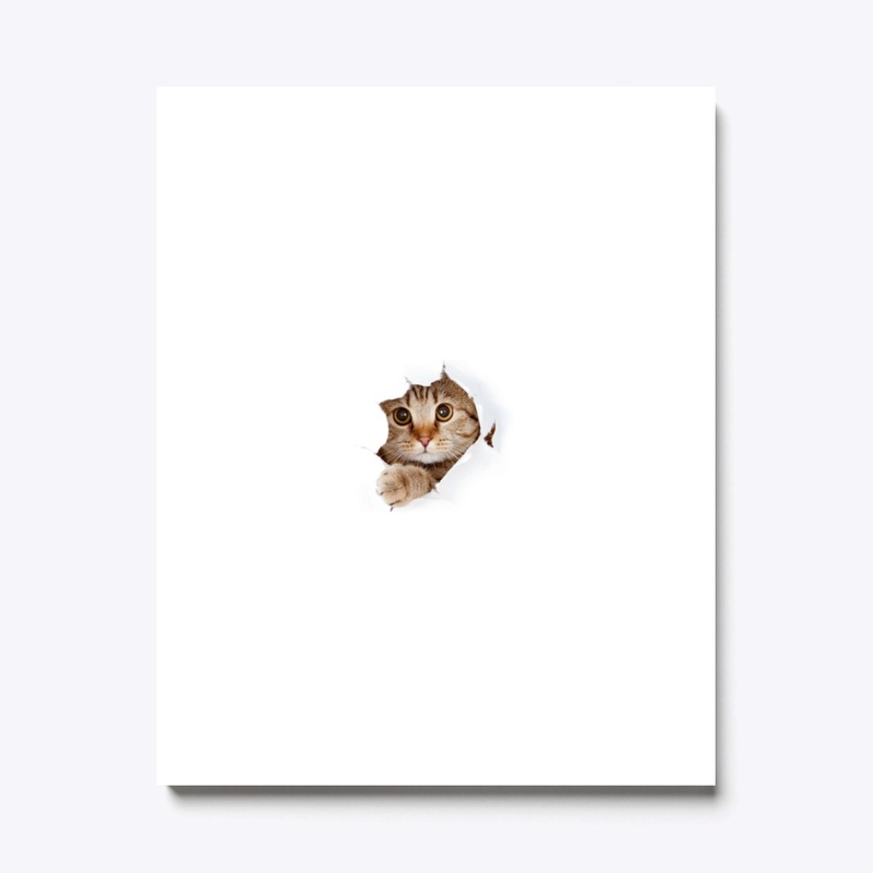 Cute Funny Cat